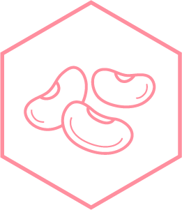 Ilustraci&oacute;n del ingrediente frijol blanco.