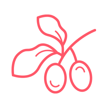 Ilustraci&oacute;n de la manteca de karit&eacute;
